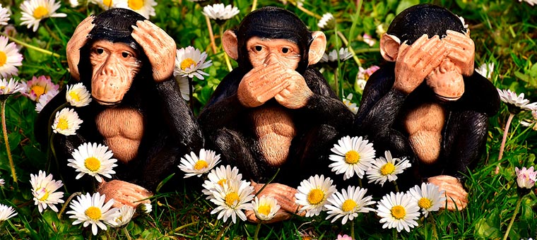 three-monkeys